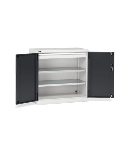 Armadio Con Ante A Battente, L1023 X P555 X H1000 Mm, Perfom12004